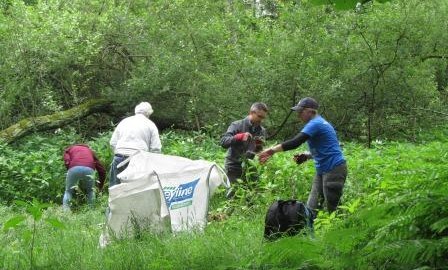 Dorset-wildlife-conservation-volunteers
