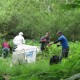 Dorset-wildlife-conservation-volunteers